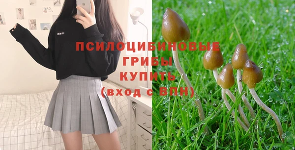 прущий лед Белокуриха